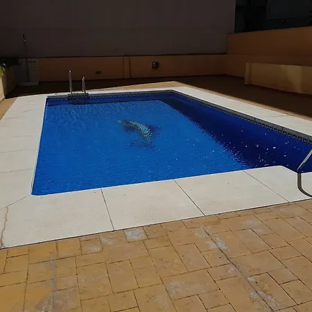 דירה Fan Flat Sunset